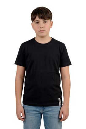13296